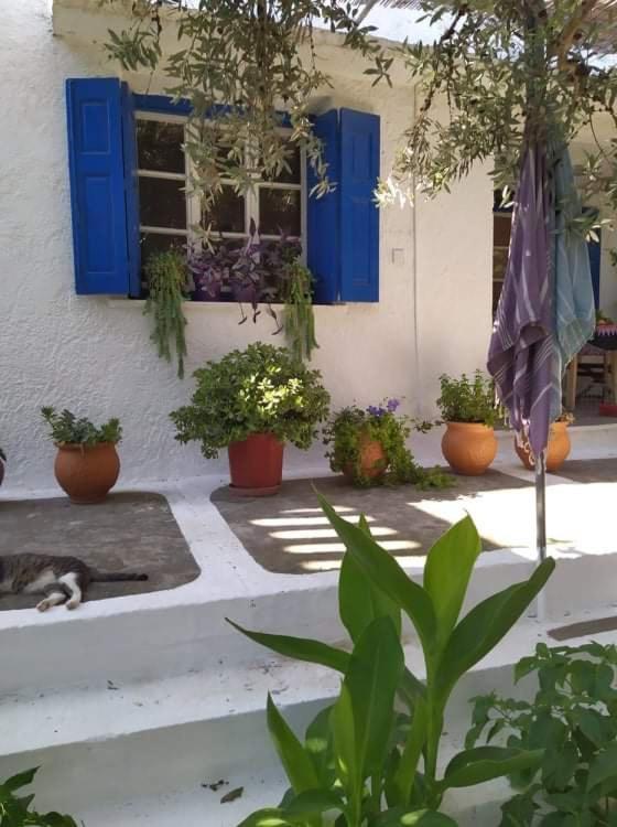 Stamoulis Apartments Kampos Marathokampou Exterior foto